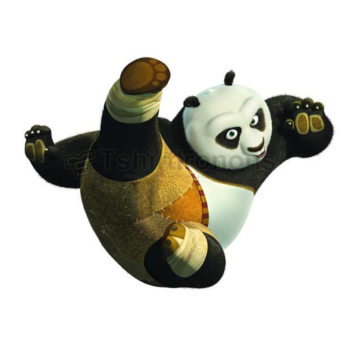 Kung Fu Panda T-shirts Iron On Transfers N2682